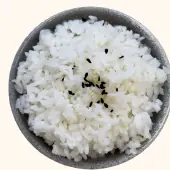 Japanese Rice — ข้าวญี่ปุ่น